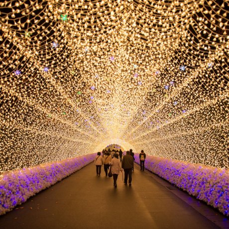 名花之里燈海 名花之里燈海