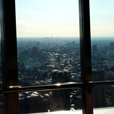 東京鐵塔的興奮之情 東京鐵塔的興奮之情