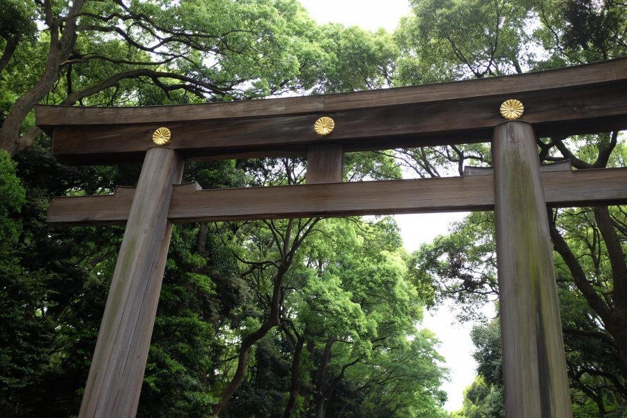 明治神宮
