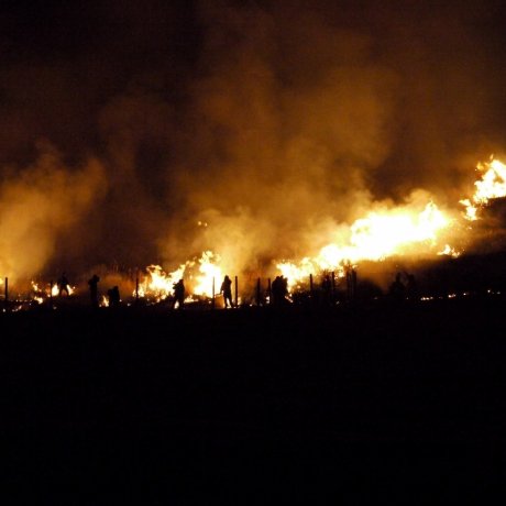 若草山燒山祭 若草山燒山祭