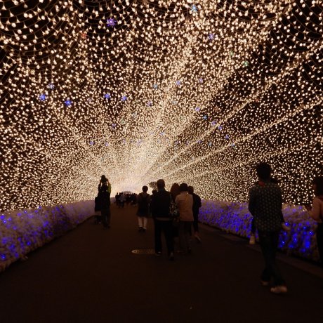 Nabana No Sato Spring Illumination Nabana No Sato Spring Illumination