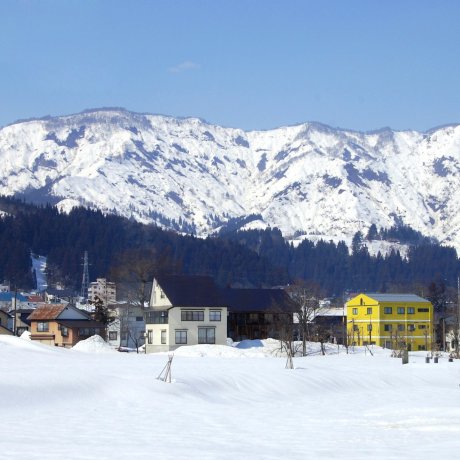 Echigo-Tsumari Art Field 2019 Winter “SNOWART” Echigo-Tsumari Art Field 2019 Winter “SNOWART”