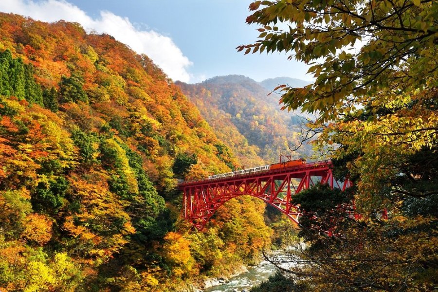 富山縣：邂逅日本的自然奇觀與藝術魅力