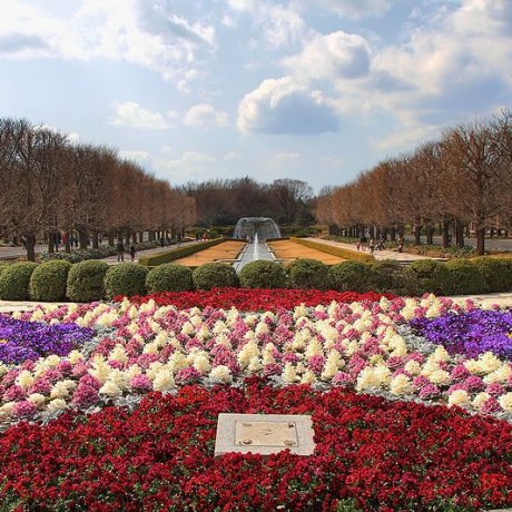 Showa Kinen Park