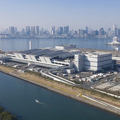 Toyosu Fish Market