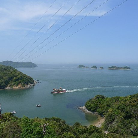 Dolphin Island